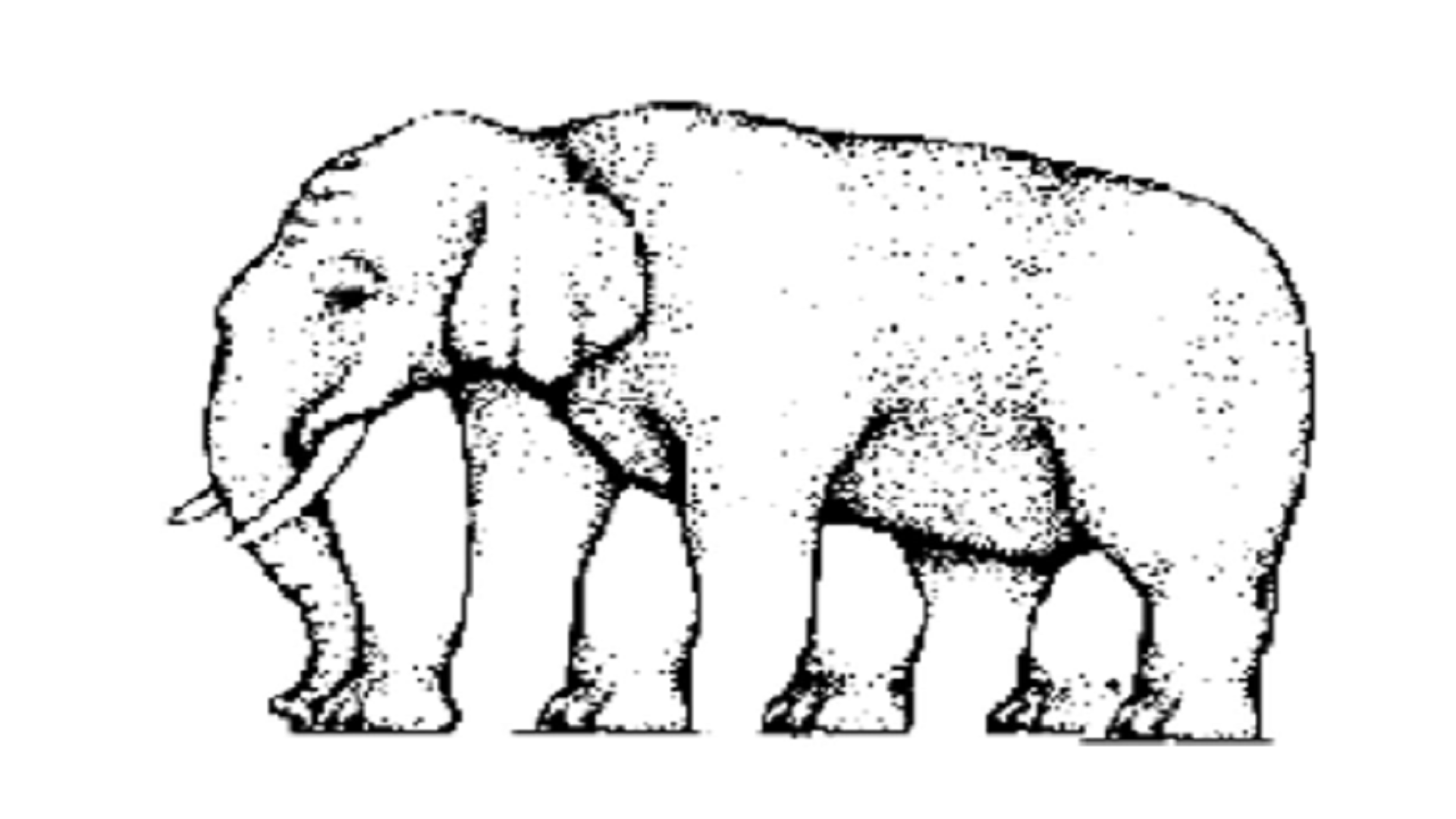Sem título