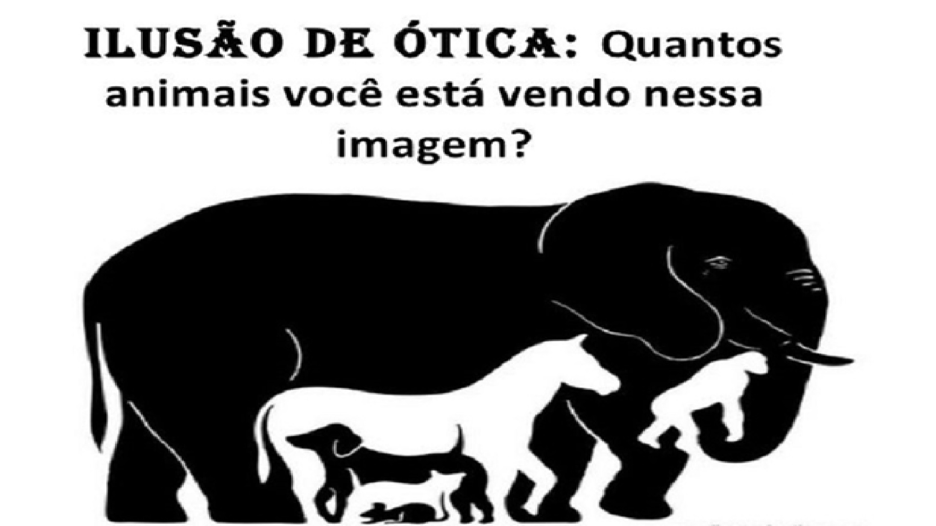 Sem título