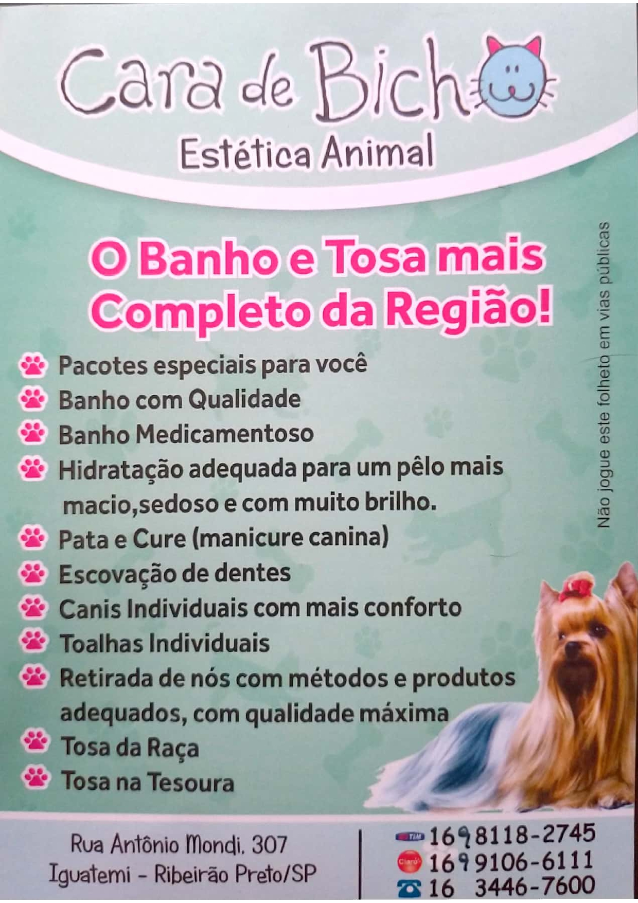 Cara de Bicho Estética Animal