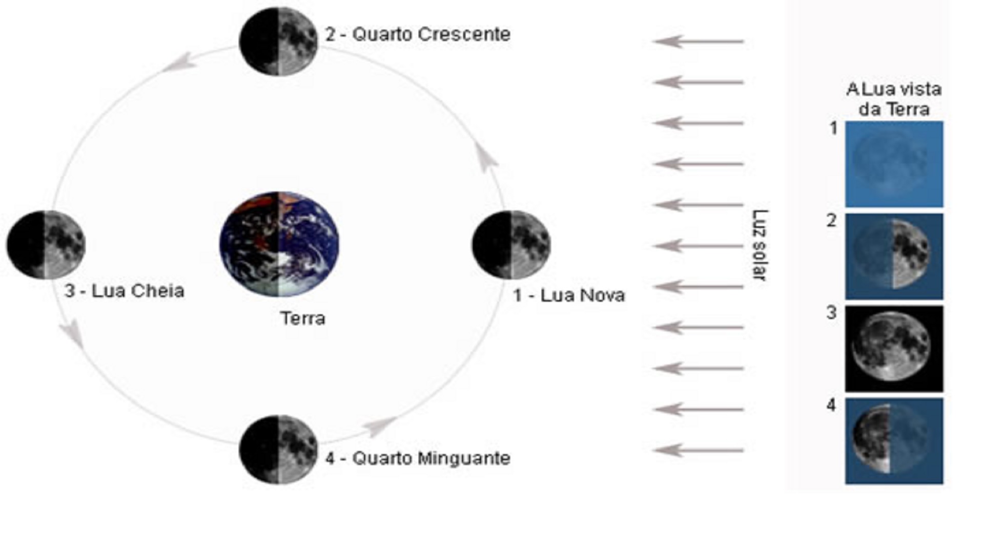 Fases da lua