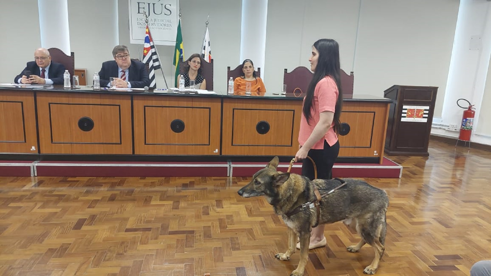 Resultado da reunião das comissões de prevenção e enfrentamento do assédio moral e assédio sexual.