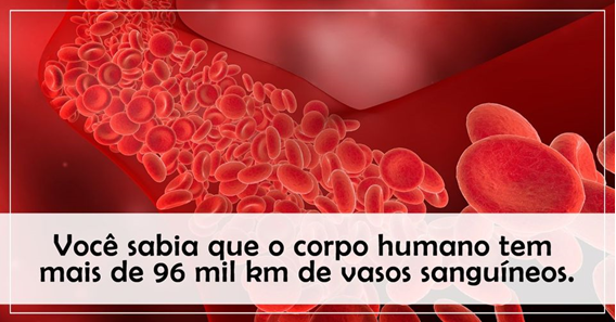 Sem título