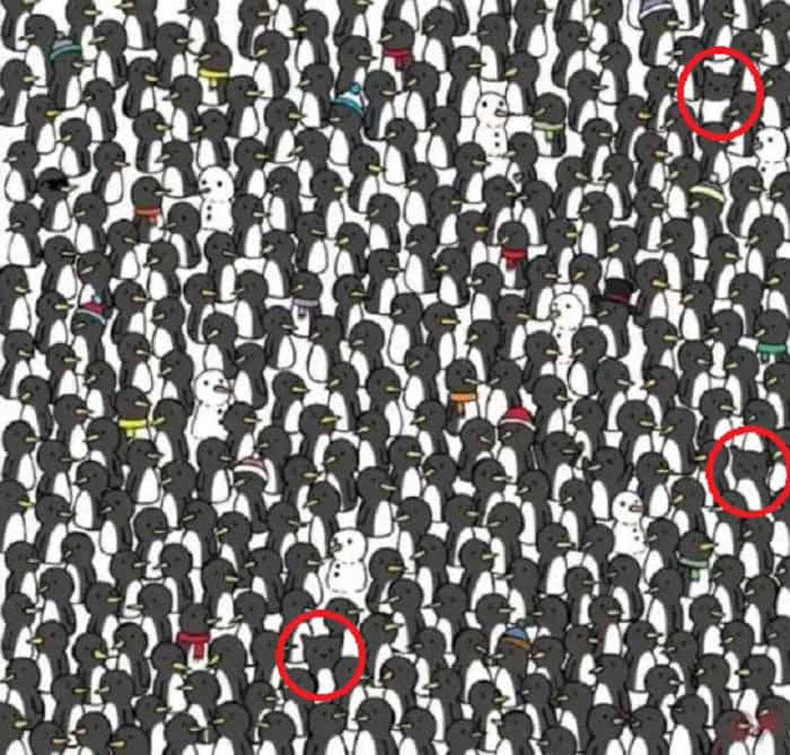 Ilusões ópticas surreais que desafiam a realidade e colocam em xeque nossa percepção são ótimos exercícios cerebrais