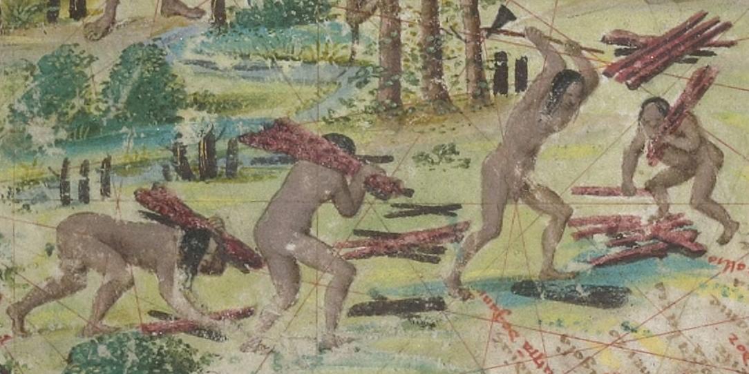 AtlasMiller_BNF_Brasilis_paubrasil