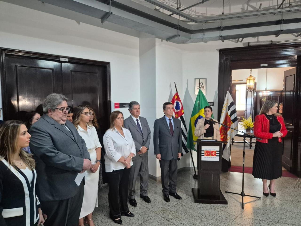 Central de Intermediação em Libras – CIL