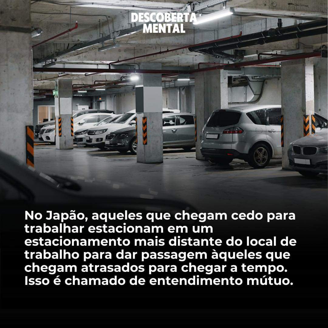 facebook_1730300568580_7257406595999065511